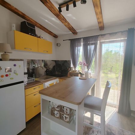 Cattleya Novigrad (Istria) Exterior foto