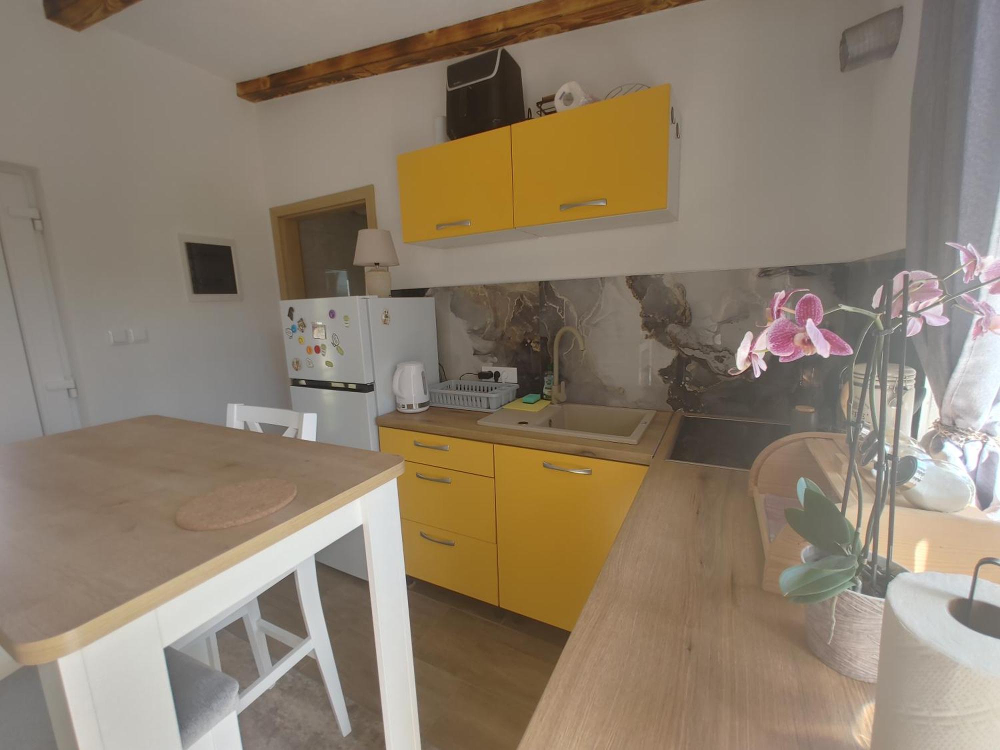 Cattleya Novigrad (Istria) Exterior foto